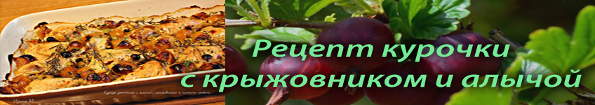 Курочка с крыжовником и алычой, рецепт